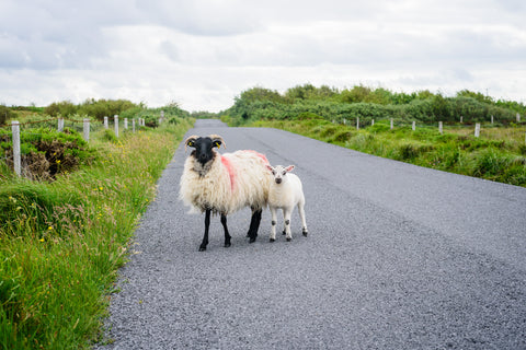 Ireland