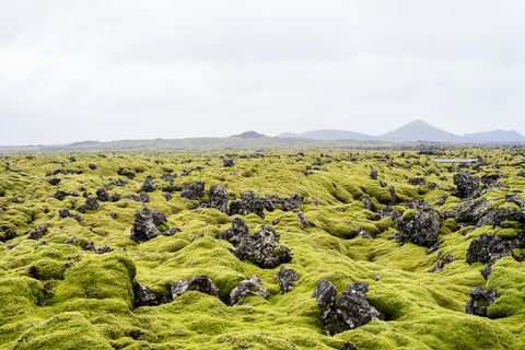 Iceland