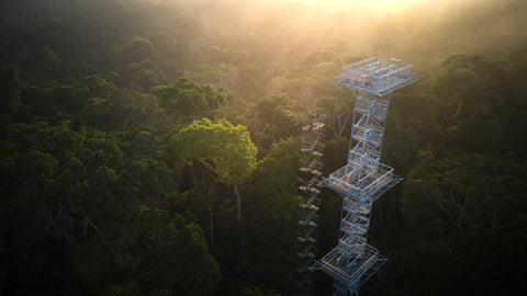 Posada Amazonas