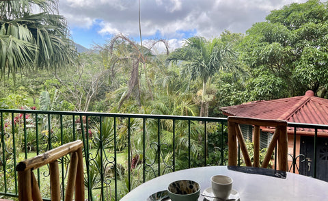 The Golden Frog Inn