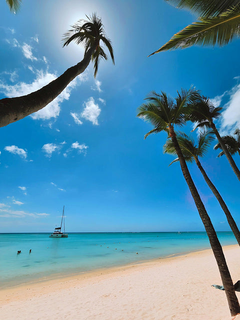 Spotlight - Barbados West Coast