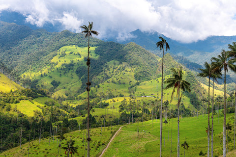 Colombia