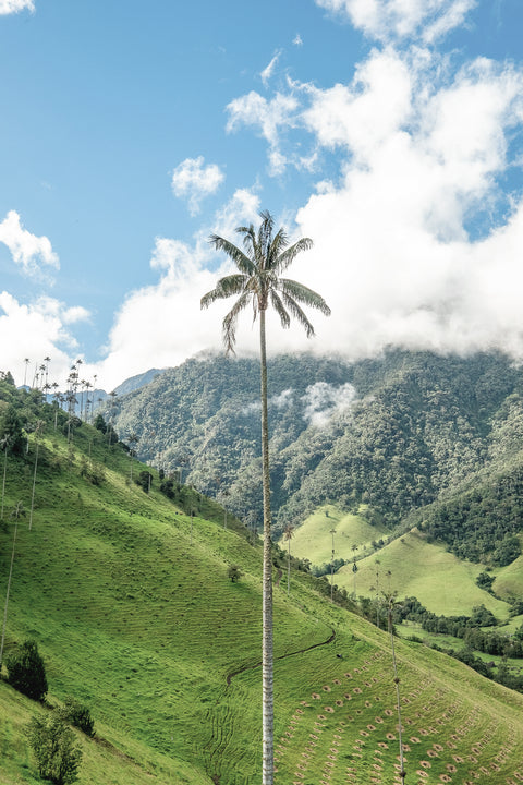 Colombia