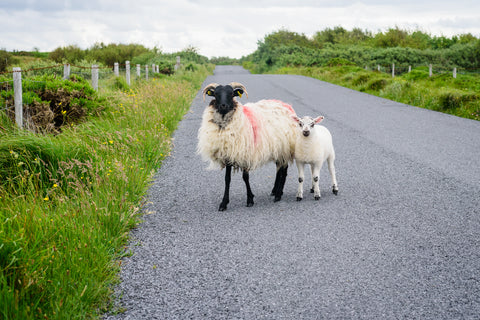 Ireland