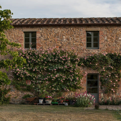 RR_Property_Italy_Follonico__MG_3551.jpg